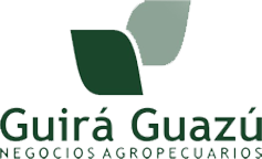 Guira Guazu